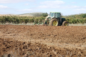トラクターで耕される畑
