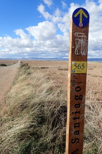 砂利道を延々と歩く Santiagoまで565km