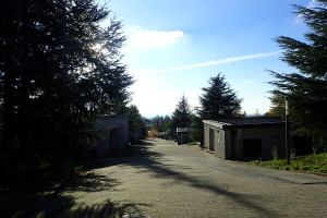 Albergue敷地内の坂道