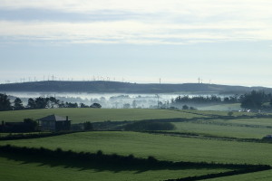 霧の谷