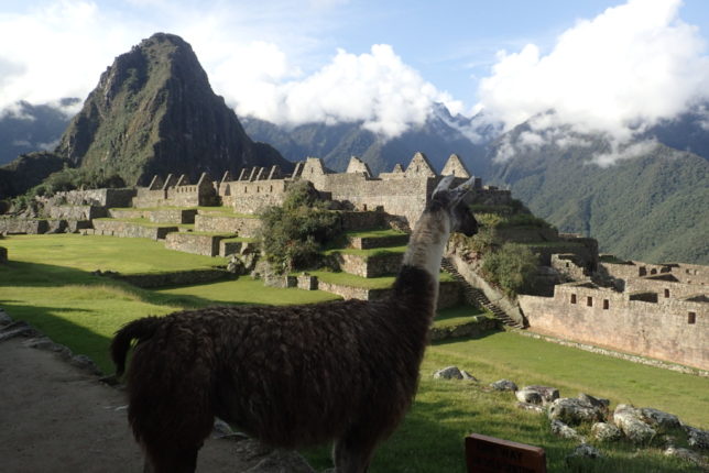 ペルー旅行