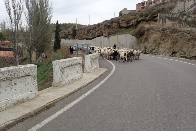 カタルーニャの道 Camino Catalán